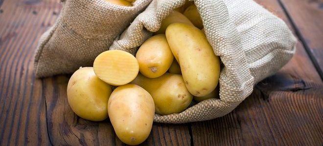Картофельный сок - польза и вред, при каких заболеваниях полезен? 