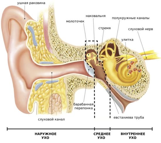 КТ внутреннего (среднего) уха 