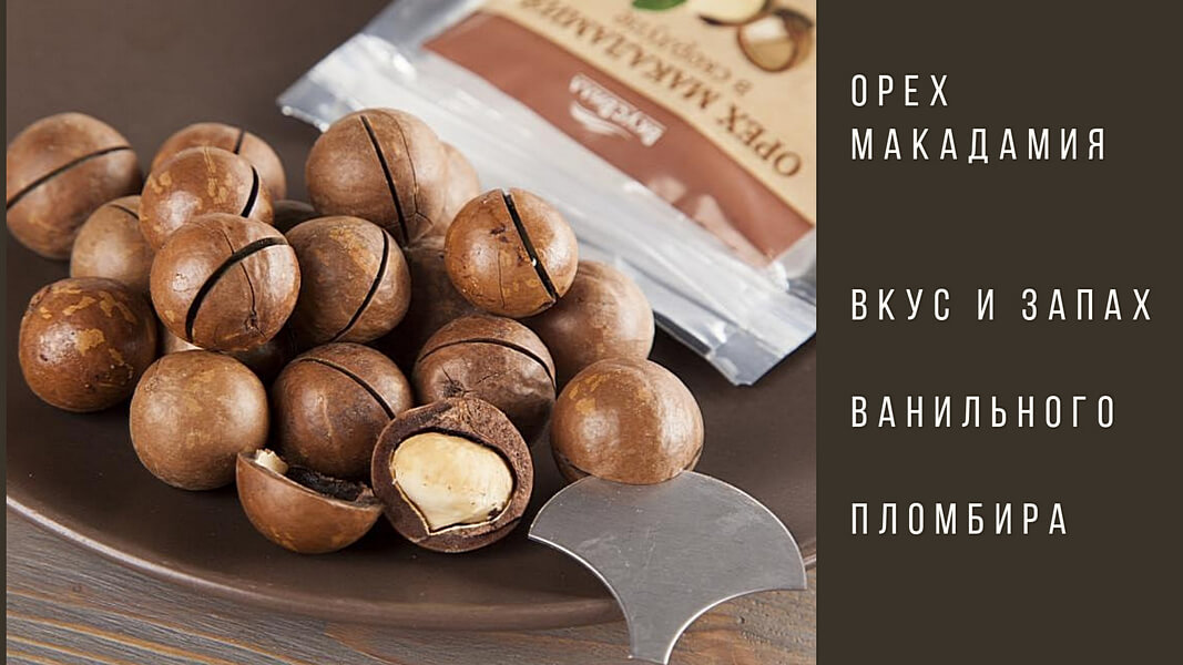 Орех макадамия – целебный плод, необходим он организму как кислород! 