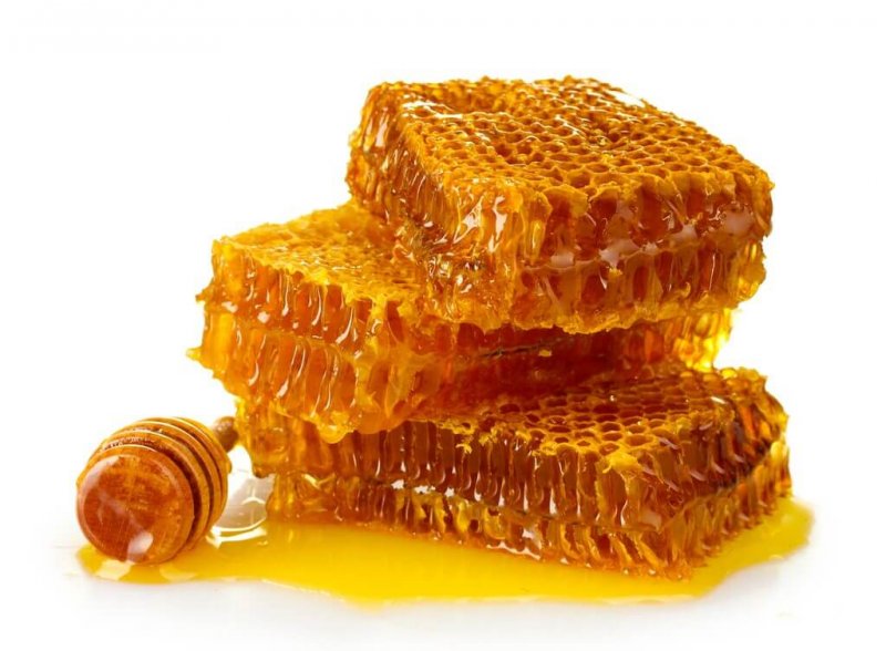 Чем полезны пчелиные соты для здоровья 