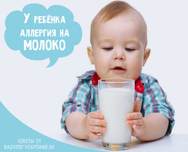 Что делать, если у грудничка аллергия на белок коровьего молока? 