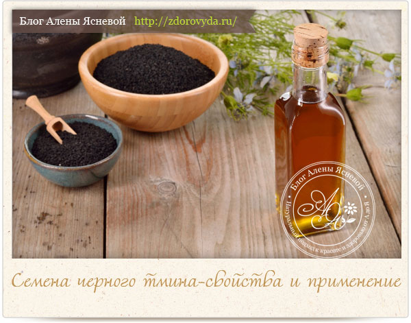 Черный тмин – полезные свойства и противопоказания, применение семян и масла 