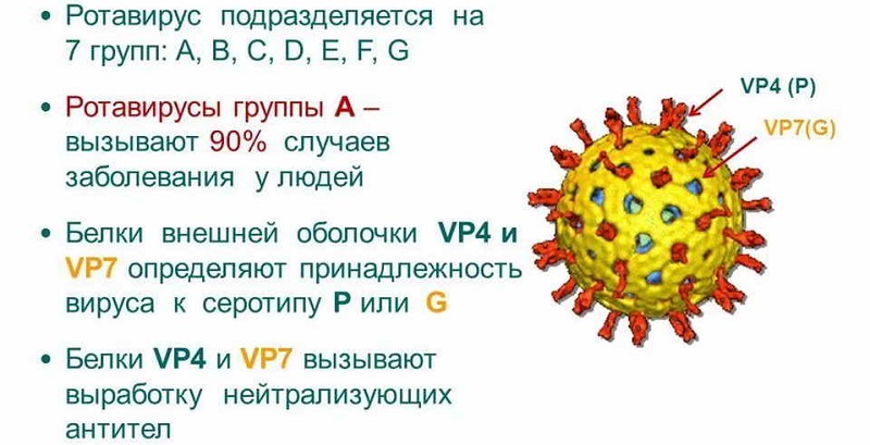 Можно ли заразиться ротавирусом повторно 