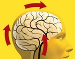 Энцефалопатия головного мозга: симптомы и лечение 
