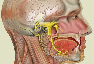 Массаж при неврите лицевого нерва 