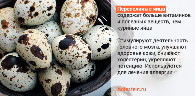 Холестерин в куриных и перепелиных яйцах 