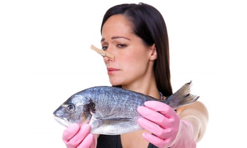 Какие симптомы вызывает аллергия на морепродукты и как с ней бороться 