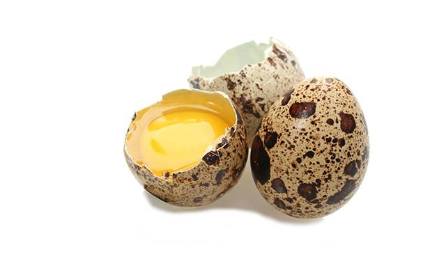 Особенности воздействия перепелиных и куриных яиц на уровень холестерина в крови 