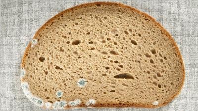 Плесень на хлебе: яд, который может стать cмepтельным 