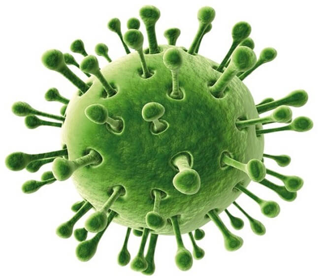 Шесть способов подхватить ротовирус взрослому 