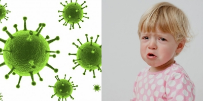 Сколько длится каждая стадия ротавирусной инфекции 
