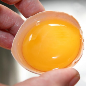 Где находится сальмонеллез в яйцах? 
