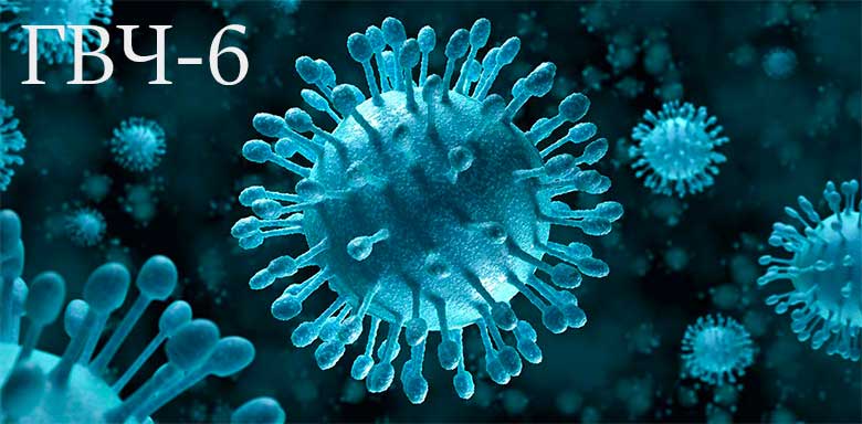 Подробно о вирусе гepпeса 6 типа 
