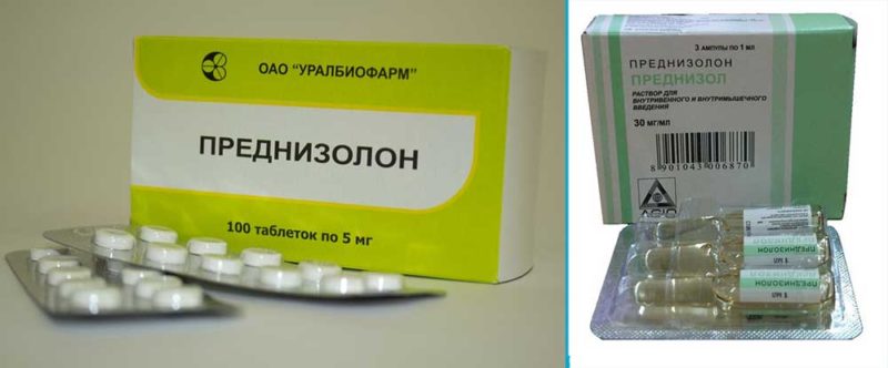 Преднизолон таблетки: инструкция по применению 