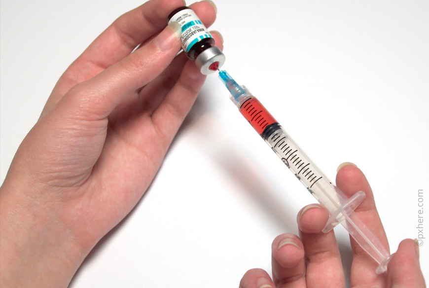 Прививки щенкам – какие и когда ставить 