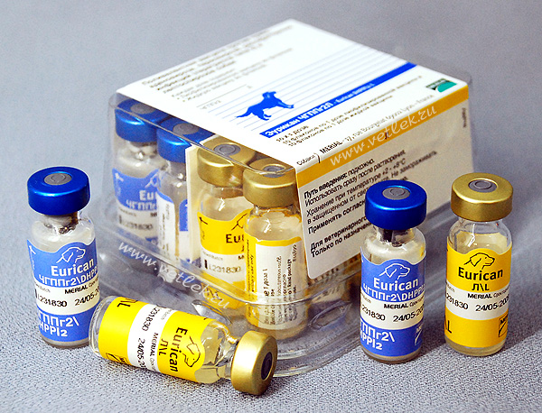 Вакцинация щенков препаратом Эурикан: назначение и способ применения 