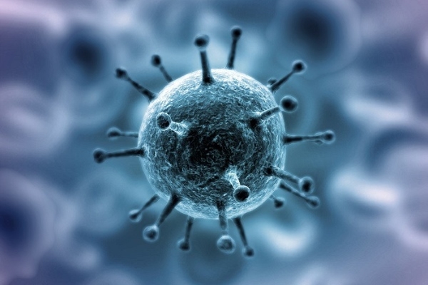 Что такое коронавирус человека и как его лечить? 