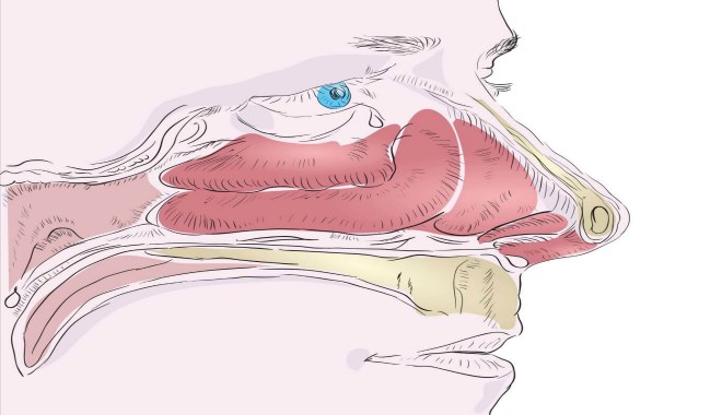 Отёк слизистой носа — как снять отёк? Причины и лечение 