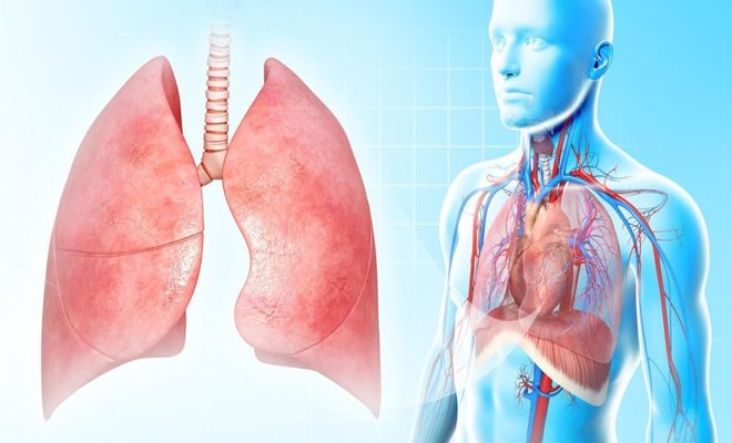 Заразен ли туберкулезный плеврит легких и как лечится 