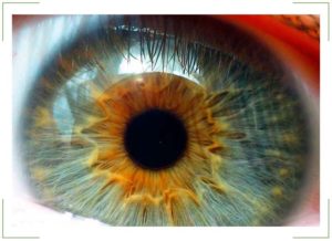 Ангиопатия сетчатки глаза у детей 