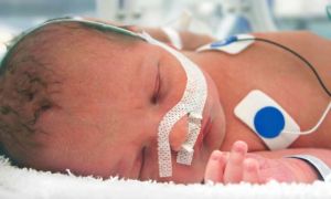 Внутрижелудочковое кровоизлияние (ВЖК) у новорожденных: причины, степени, проявления, прогноз 