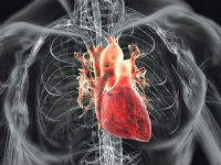 Выброс крови из сердца 