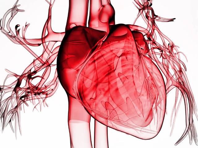 Выявлена аневризма сердца: операция как самый эффективный шанс на спасение 