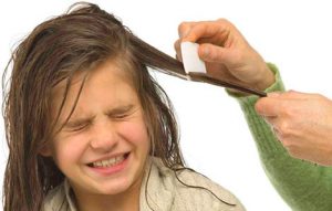 Как выявить и быстро вывести вши с гннидами у ребенка, не обрезая волос 