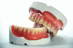Каким образом можно получить бесплатное протезирование зубов 
