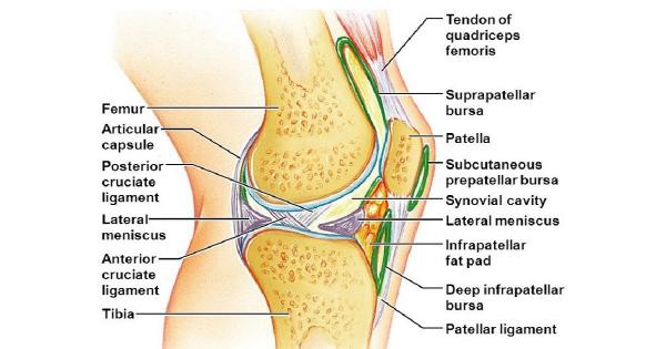 Импинджмент синдром коленного сустава (супрапателлярного жирового тела) 