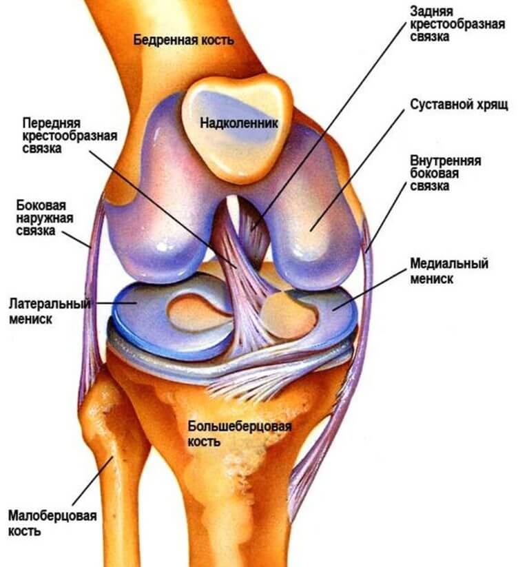 Как лечить лигаментоз крестообразных связок коленного сустава? 