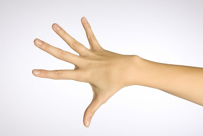 Как устроена рука человека 