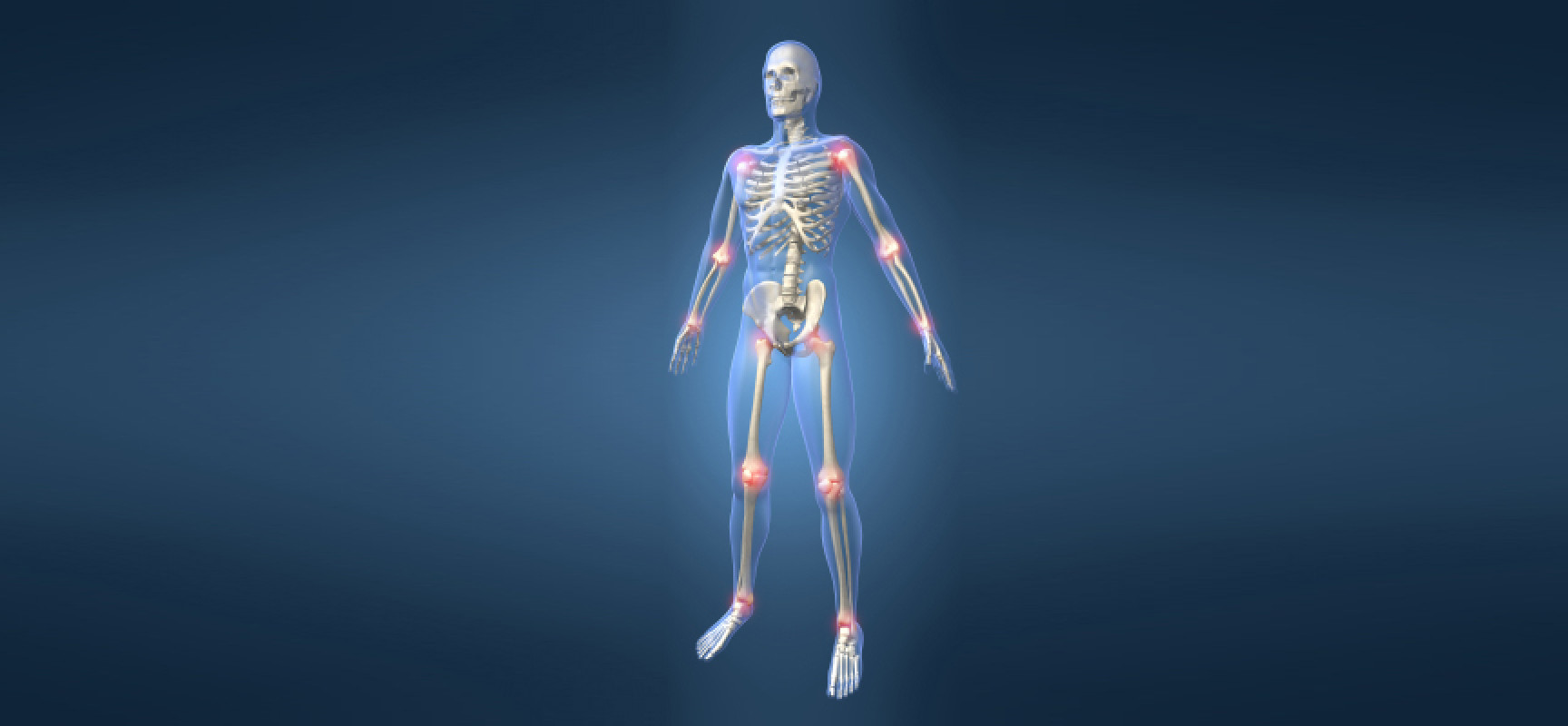 Классификация и функционирование суставов человека 