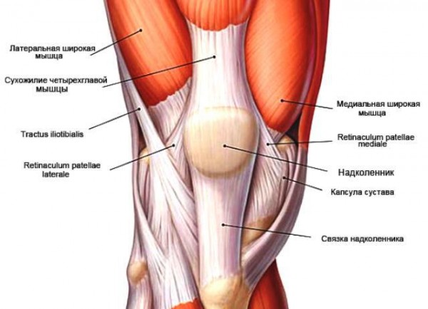 Лечение растяжения мышц коленного сустава 
