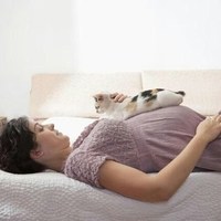 Кошки и беременность: о чем должна помнить будущая мама 