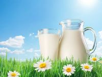 Преимущества козьего молока при панкреатите и способы его употрeбления 