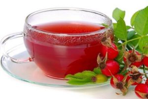 Применение шиповника при гастрите: полезные свойства ярко-красных ягод и самые эффективные рецепты 