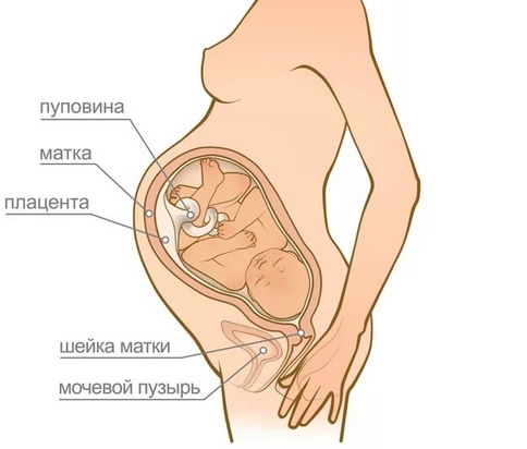 Сильная тошнота на 39 неделе беременности 