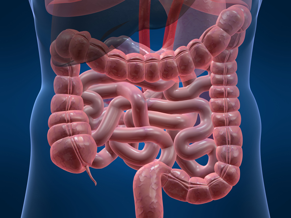 Дисбактериоз кишечника — причины, признаки, симптомы и лечение дисбактериоза у взрослых, питание и профилактика 
