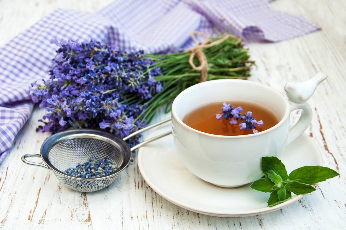 Лавандовый чай: полезные свойства и рецепты 