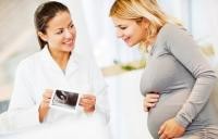 УЗИ почек во время беременности 