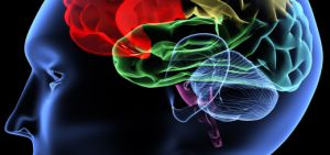 Атрофия головного мозга: причины, симптомы и лечение 