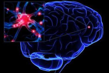 Хаpaктерные черты посттравматической энцефалопатии головного мозга и код болезни по МКБ 10 