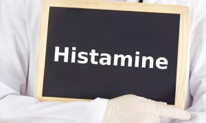 Гистамин — что это за вещество в организме? 