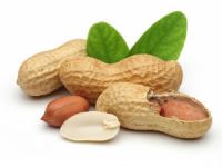 Есть ли польза от арахиса при диабете? 