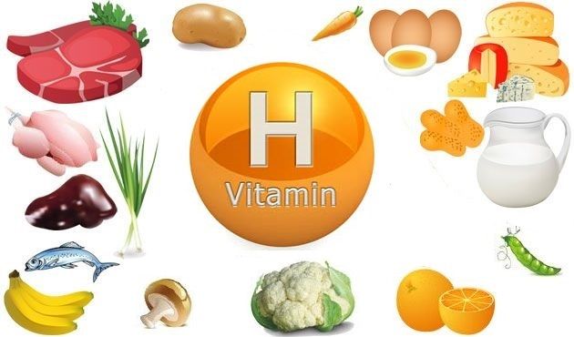 Биотин (витамин H, В7) - значение для организма 