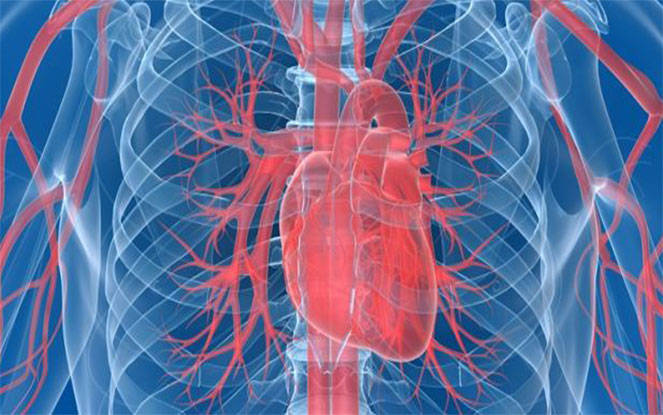 Что показывает рентген сердца? 