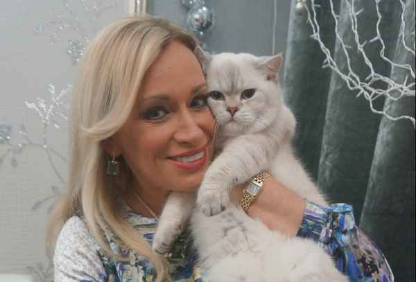 Уже научила произносить слово "мама": коты солистки «Миража» Натальи Гулькиной стали звездами Инстаграма