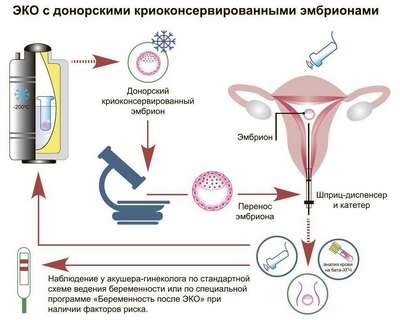 Медицинские справки по доступной цене