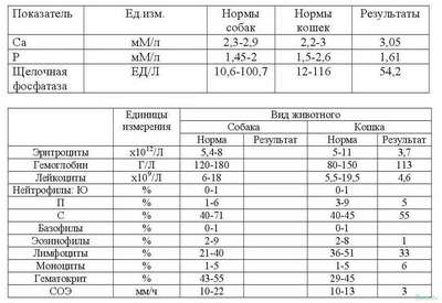 Щелочная фосфатаза у собак — что это такое? Все о щелочной фосфатазе у детей